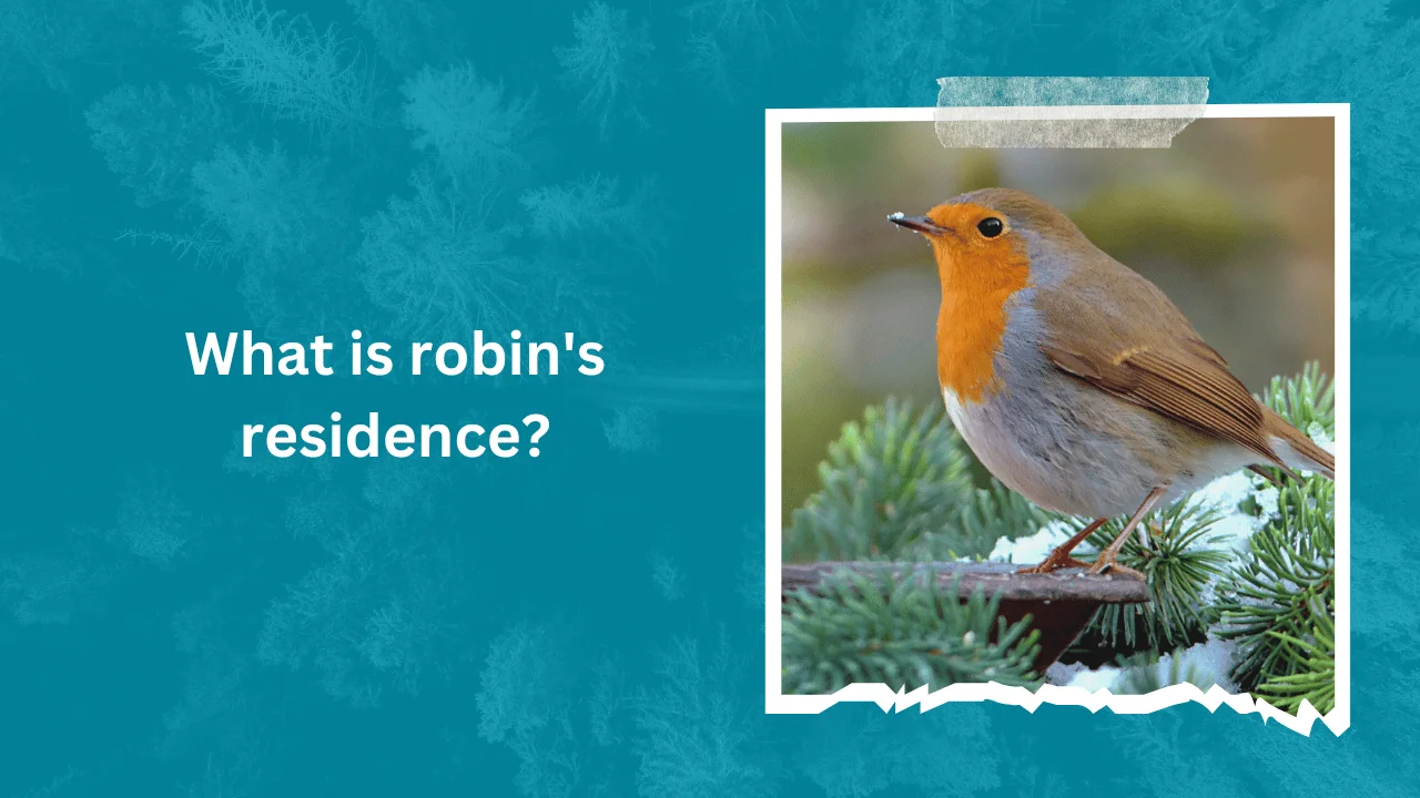 What is robin's residence